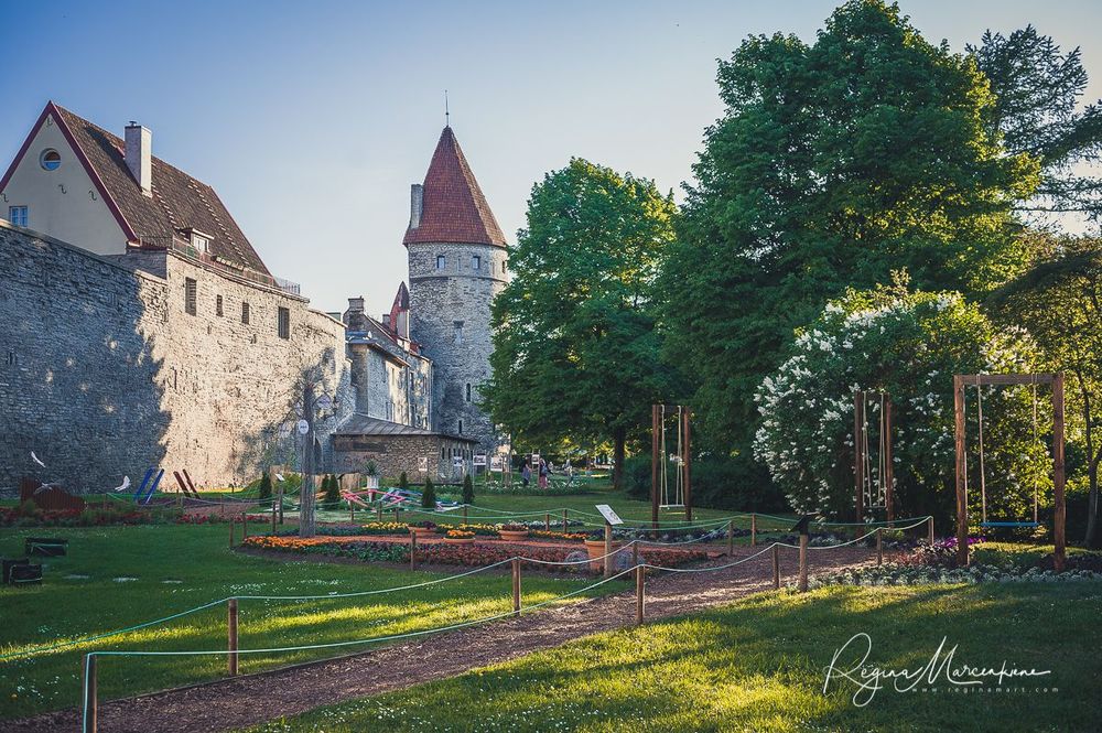 International Tallinn Flower Festival 2018 / Международный фестиваль цветов в Таллинне 2018 / Lillefestival 2018