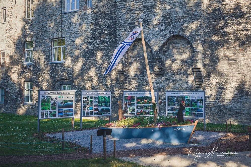 International Tallinn Flower Festival 2018 / Международный фестиваль цветов в Таллинне 2018