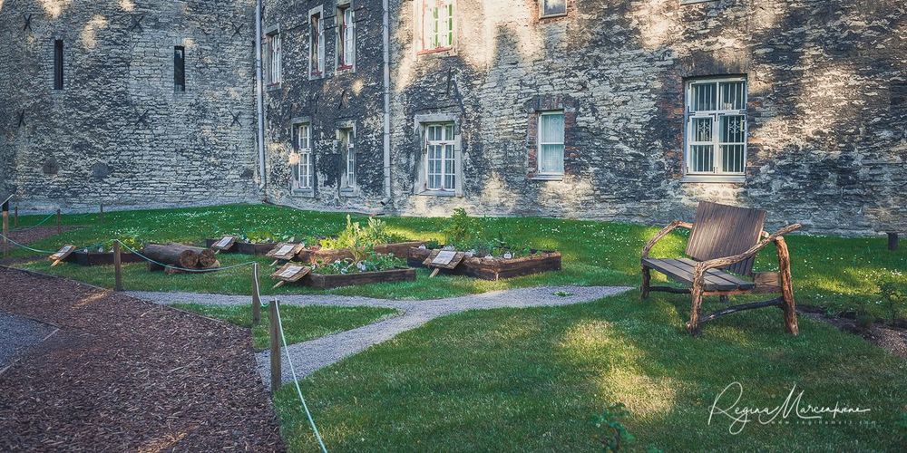 International Tallinn Flower Festival 2018 / Международный фестиваль цветов в Таллинне 2018