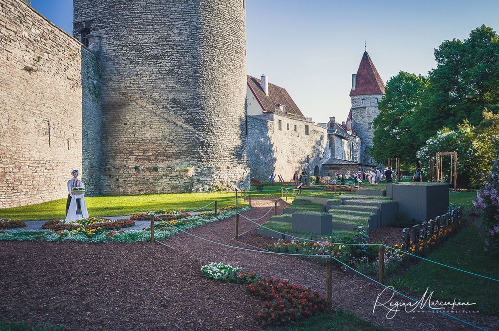 International Tallinn Flower Festival 2018 / Международный фестиваль цветов в Таллинне 2018