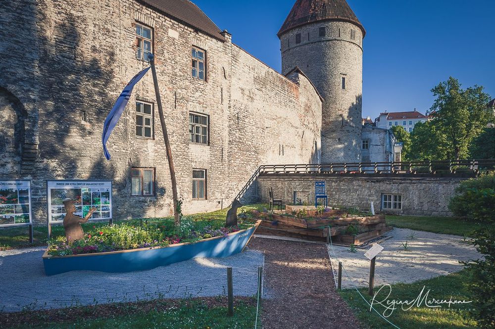 International Tallinn Flower Festival 2018 / Международный фестиваль цветов в Таллинне 2018