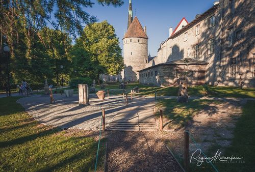 International Tallinn Flower Festival 2018 / Международный фестиваль цветов в Таллинне 2018