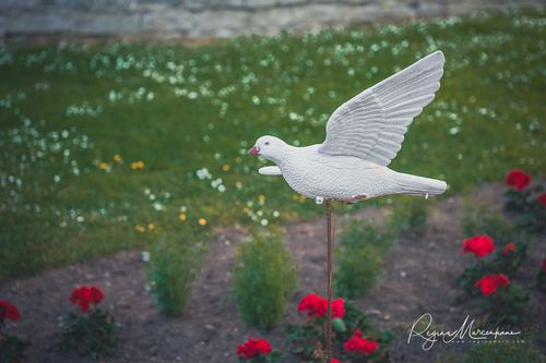 International Tallinn Flower Festival 2018 / Международный фестиваль цветов в Таллинне 2018