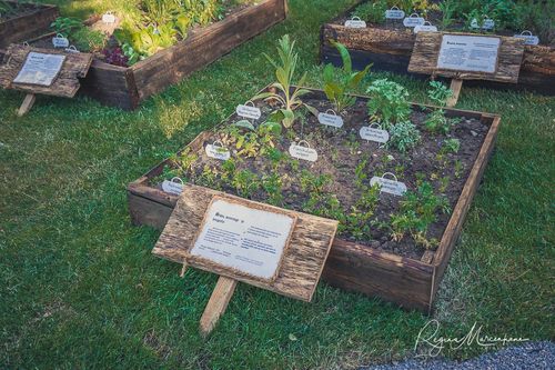 International Tallinn Flower Festival 2018 / Международный фестиваль цветов в Таллинне 2018