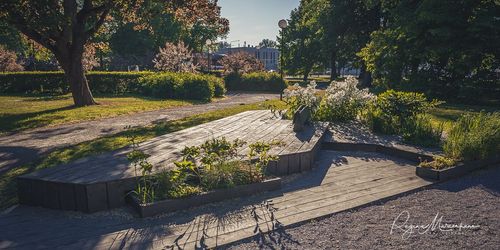 International Tallinn Flower Festival 2018 / Международный фестиваль цветов в Таллинне 2018