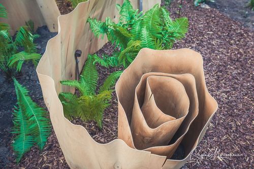 International Tallinn Flower Festival 2018 / Международный фестиваль цветов в Таллинне 2018