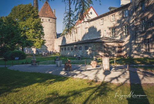 International Tallinn Flower Festival 2018 / Международный фестиваль цветов в Таллинне 2018
