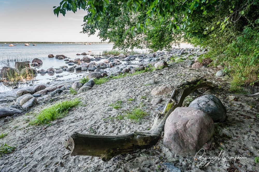 Tabasalu loodusõpperada 