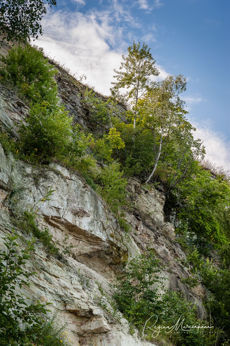 Природная учебная тропа Табасалу ( Tabasalu loodusõpperada /Tabasalu nature study trail )