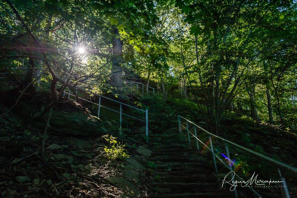 Природная учебная тропа Табасалу ( Tabasalu loodusõpperada /Tabasalu nature study trail )