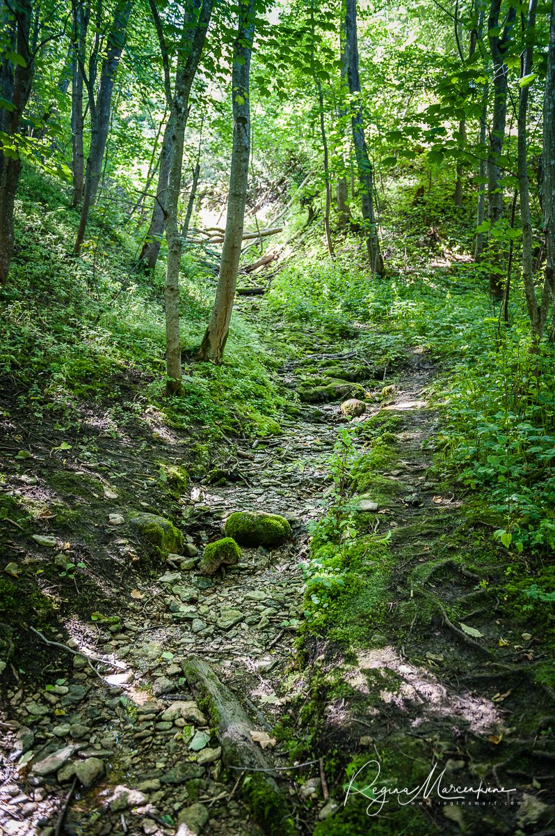 Природная учебная тропа Табасалу ( Tabasalu loodusõpperada /Tabasalu nature study trail )