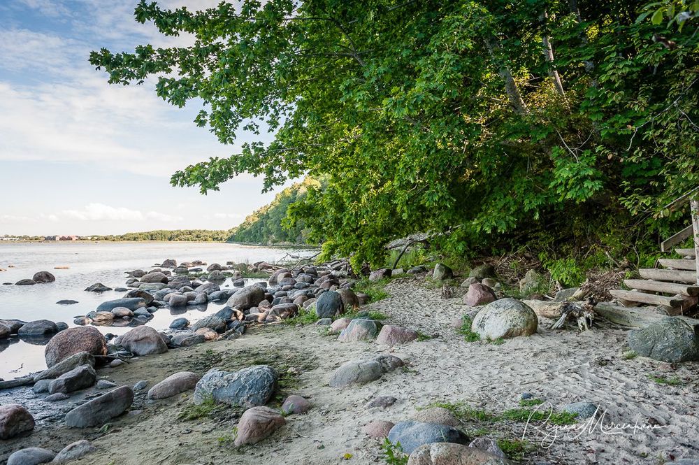 Природная учебная тропа Табасалу ( Tabasalu loodusõpperada /Tabasalu nature study trail )