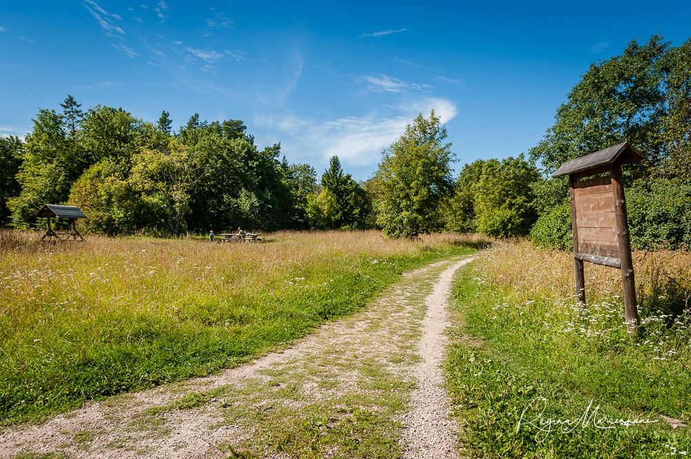 Природная учебная тропа Табасалу ( Tabasalu loodusõpperada /Tabasalu nature study trail )