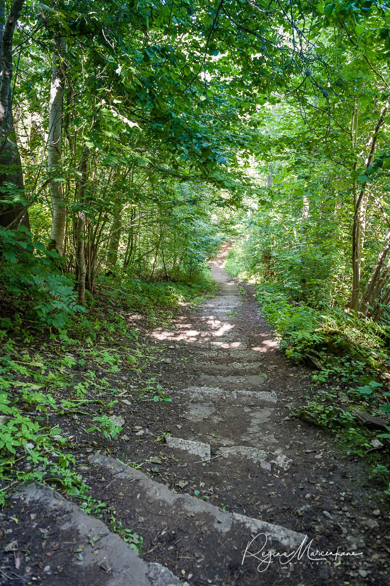Природная учебная тропа Табасалу ( Tabasalu loodusõpperada /Tabasalu nature study trail )