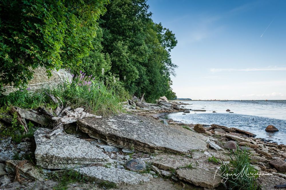 Природная учебная тропа Табасалу ( Tabasalu loodusõpperada /Tabasalu nature study trail )