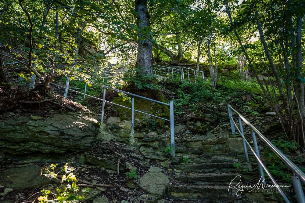 Природная учебная тропа Табасалу ( Tabasalu loodusõpperada /Tabasalu nature study trail )
