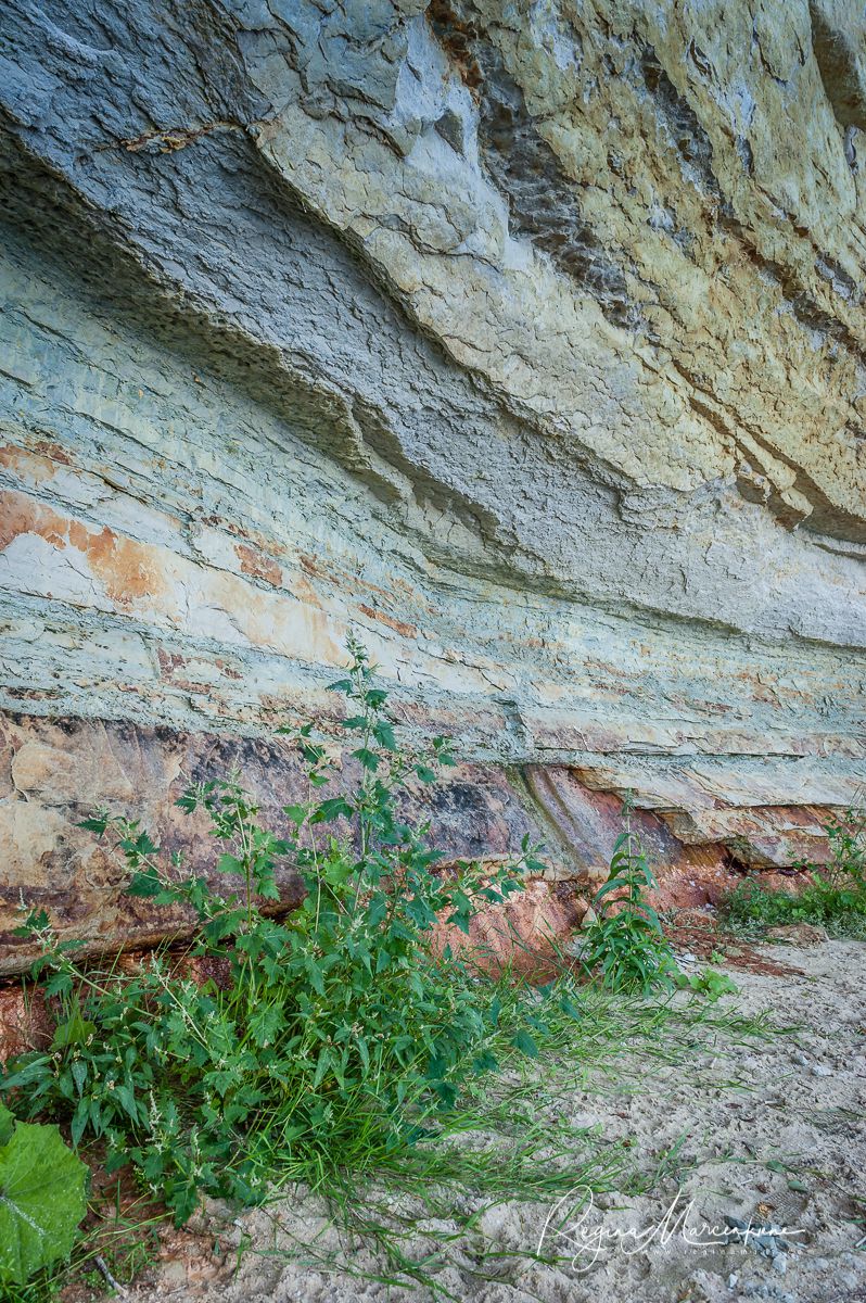 Природная учебная тропа Табасалу ( Tabasalu loodusõpperada /Tabasalu nature study trail )
