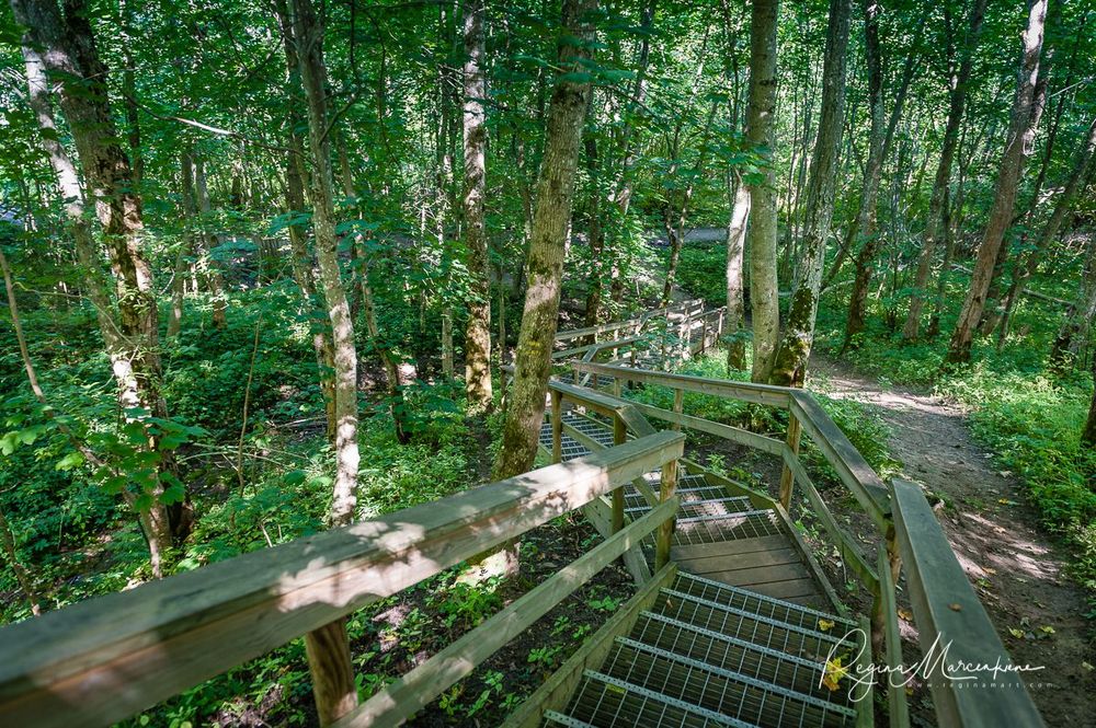 Природная учебная тропа Табасалу ( Tabasalu loodusõpperada /Tabasalu nature study trail )