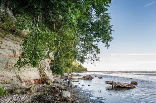 Природная учебная тропа Табасалу ( Tabasalu loodusõpperada /Tabasalu nature study trail )