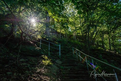 Природная учебная тропа Табасалу ( Tabasalu loodusõpperada /Tabasalu nature study trail )