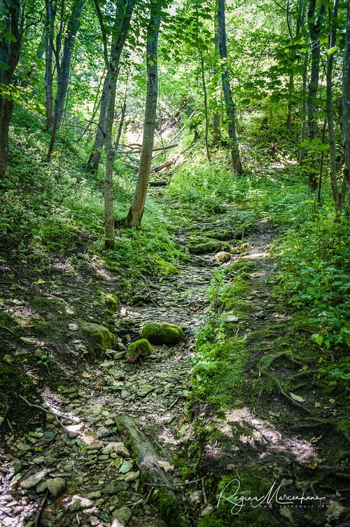 Природная учебная тропа Табасалу ( Tabasalu loodusõpperada /Tabasalu nature study trail )