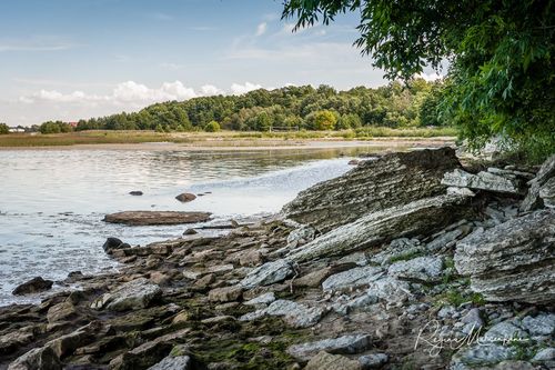 Природная учебная тропа Табасалу ( Tabasalu loodusõpperada /Tabasalu nature study trail )