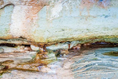 Природная учебная тропа Табасалу ( Tabasalu loodusõpperada /Tabasalu nature study trail )