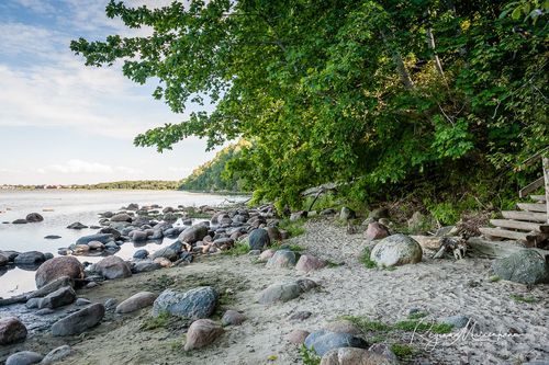 Природная учебная тропа Табасалу ( Tabasalu loodusõpperada /Tabasalu nature study trail )