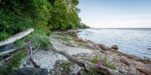 Природная учебная тропа Табасалу ( Tabasalu loodusõpperada /Tabasalu nature study trail )
