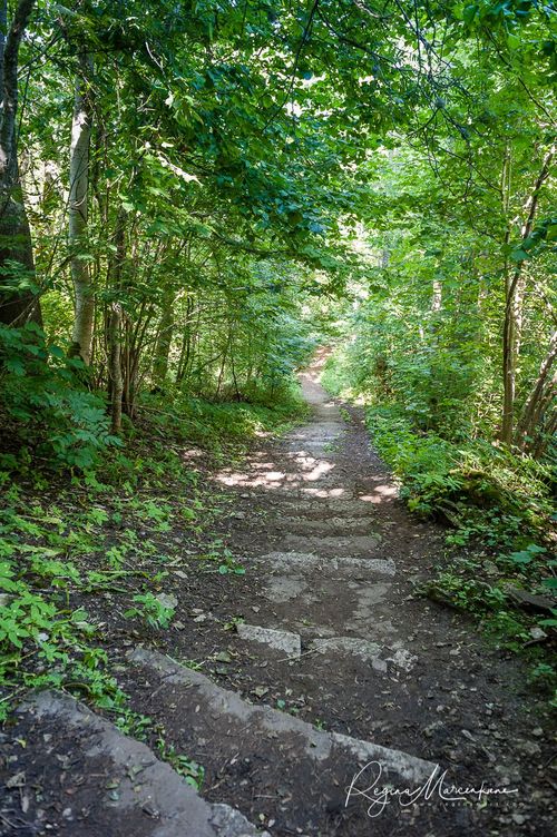 Природная учебная тропа Табасалу ( Tabasalu loodusõpperada /Tabasalu nature study trail )