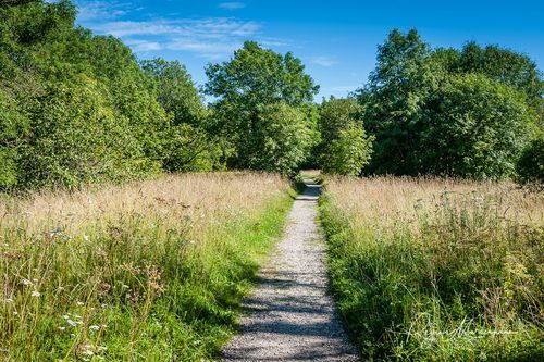Природная учебная тропа Табасалу ( Tabasalu loodusõpperada /Tabasalu nature study trail )