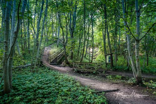 Природная учебная тропа Табасалу ( Tabasalu loodusõpperada /Tabasalu nature study trail )