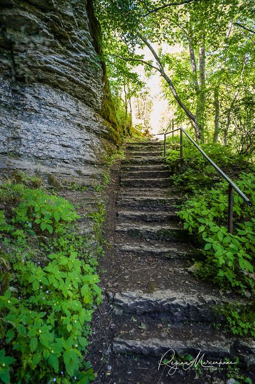 Природная учебная тропа Табасалу ( Tabasalu loodusõpperada /Tabasalu nature study trail )