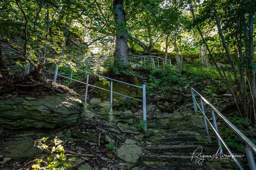 Природная учебная тропа Табасалу ( Tabasalu loodusõpperada /Tabasalu nature study trail )