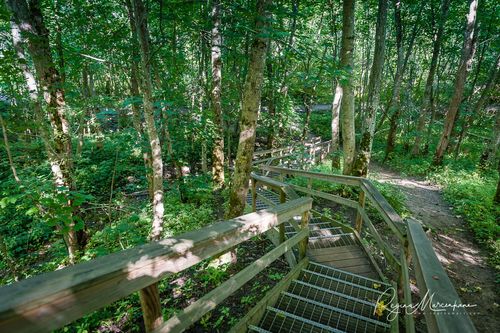 Природная учебная тропа Табасалу ( Tabasalu loodusõpperada /Tabasalu nature study trail )
