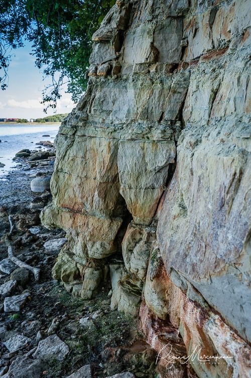 Природная учебная тропа Табасалу ( Tabasalu loodusõpperada /Tabasalu nature study trail )