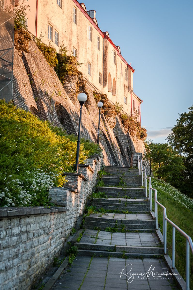 Medieval Days in Tallinn Old Town / Дни Средневековья в Таллинне
