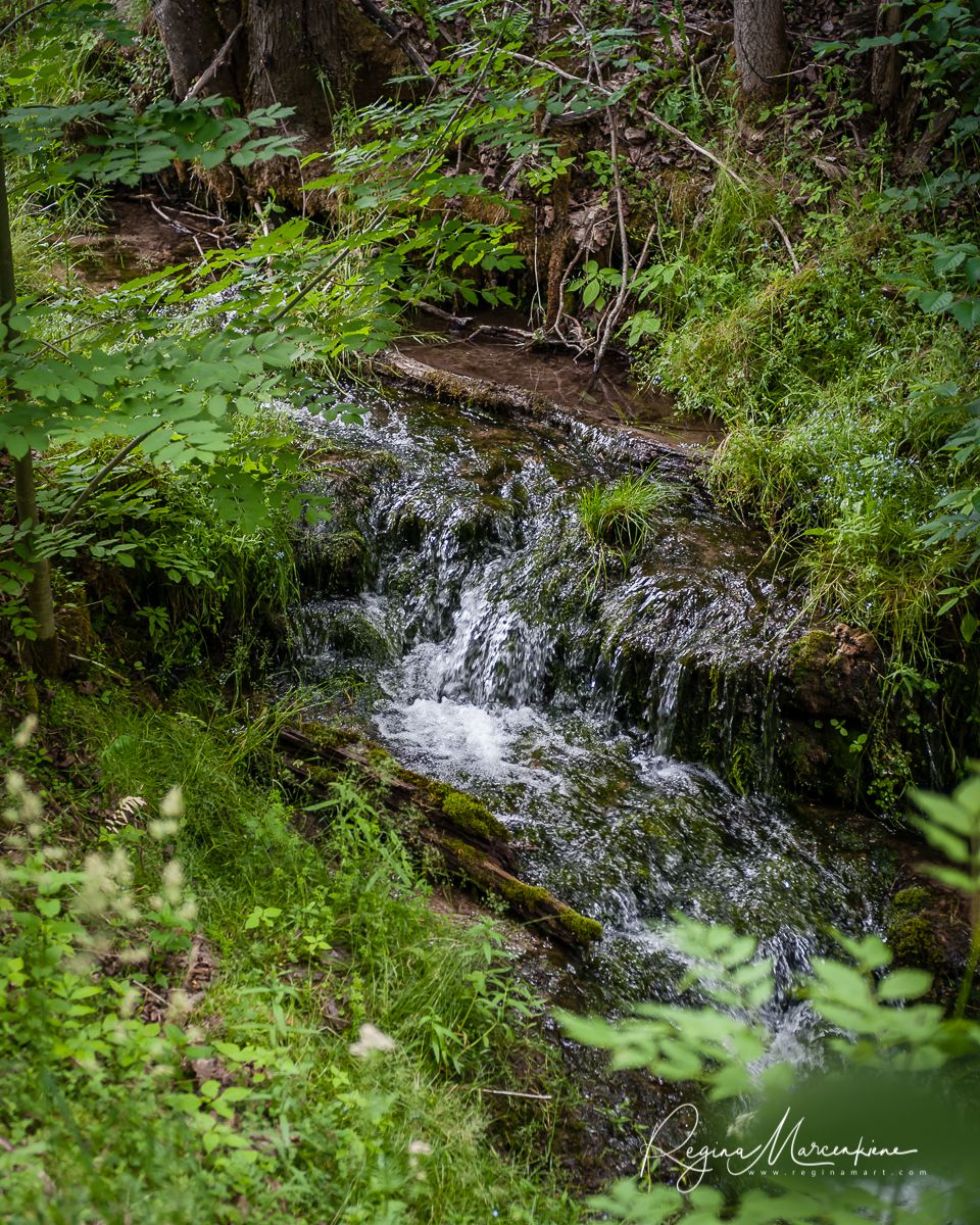 Семиисточниковый водопад ( Septiņavotu ūdenskritums / Waterfall of The Seven Springs)
