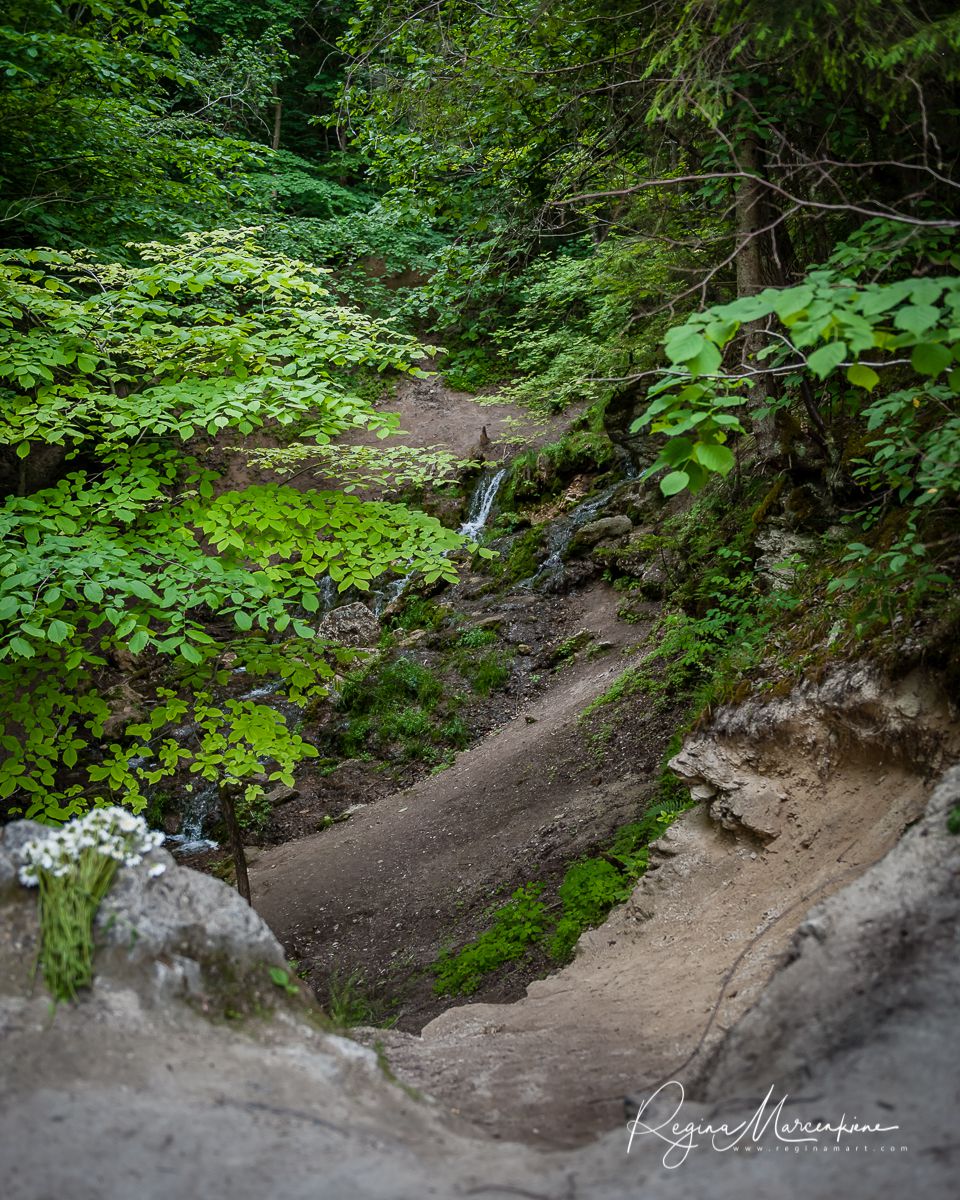 Семиисточниковый водопад ( Septiņavotu ūdenskritums / Waterfall of The Seven Springs)