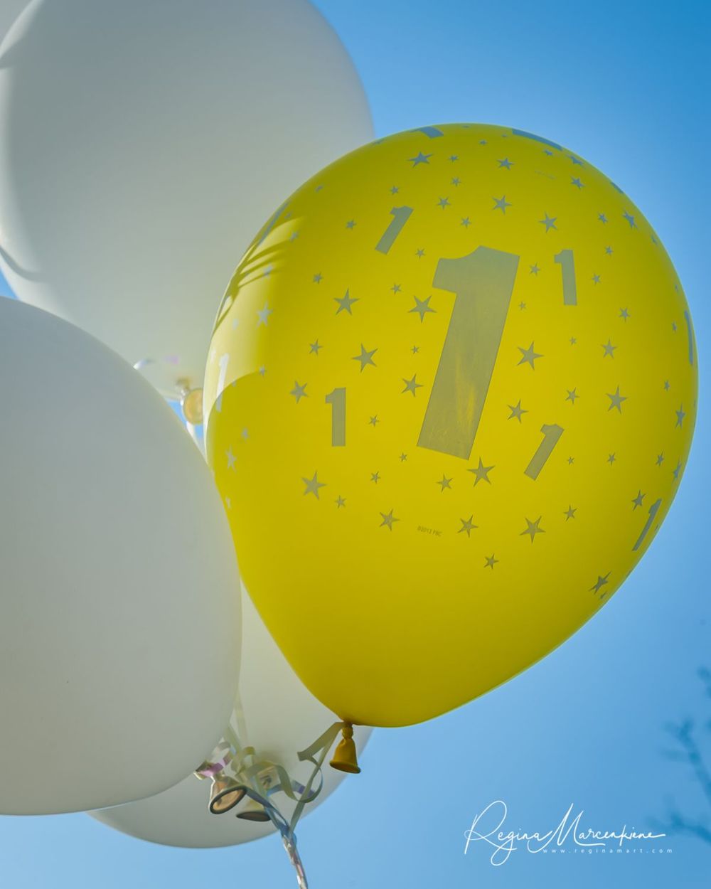 First Birthday Party 