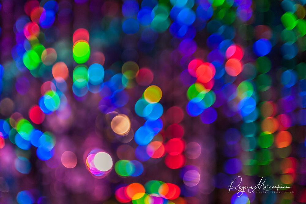 Wandering Lights / Фестиваль 