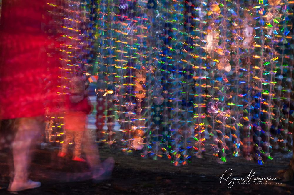 Wandering Lights / Фестиваль 