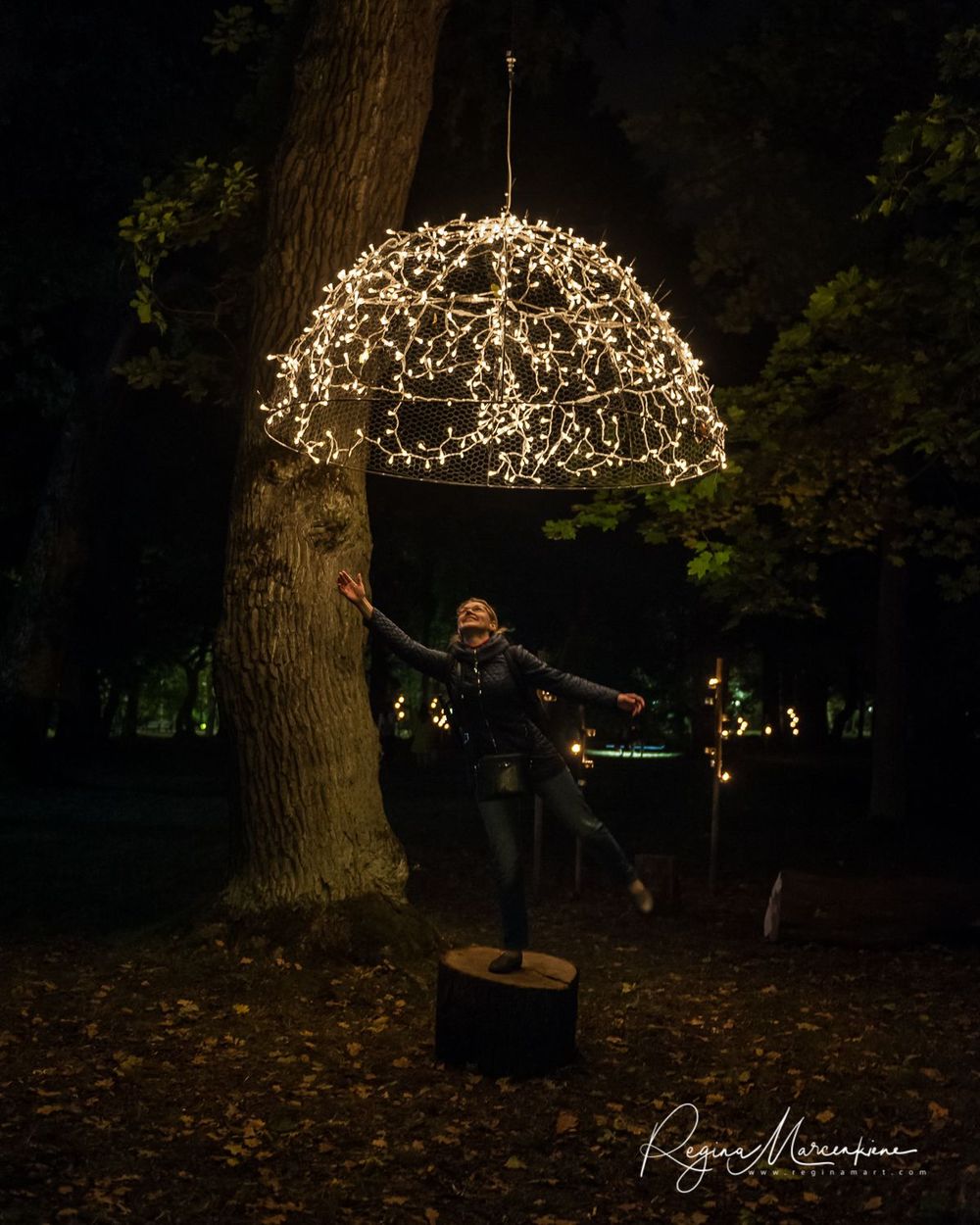 Wandering Lights / Фестиваль 