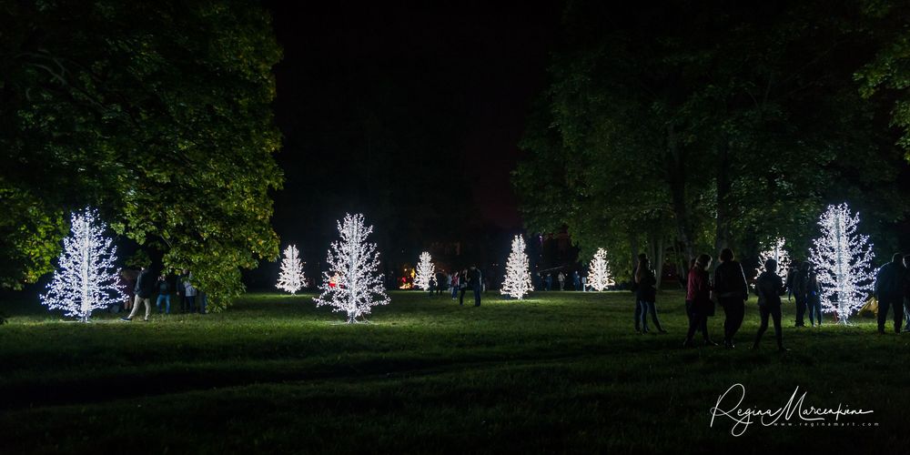 Wandering Lights / Фестиваль 