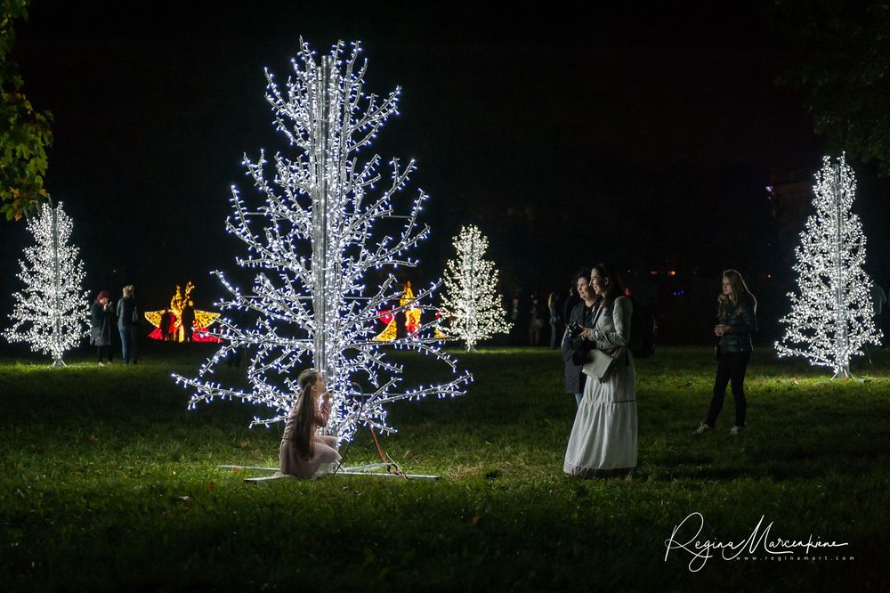 Wandering Lights / Фестиваль 