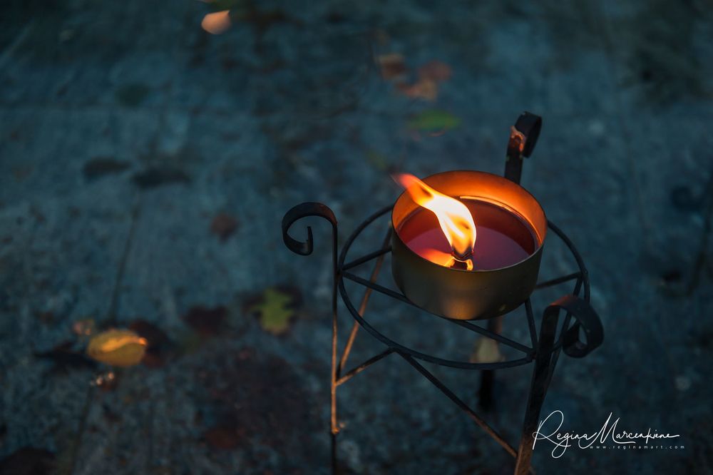 Wandering Lights / Фестиваль 