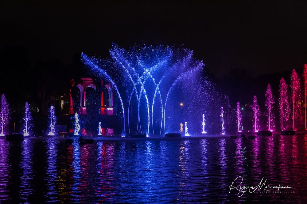 Wandering Lights / Фестиваль 