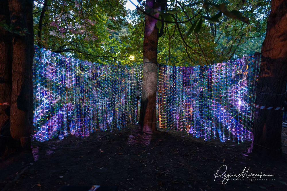 Wandering Lights / Фестиваль 