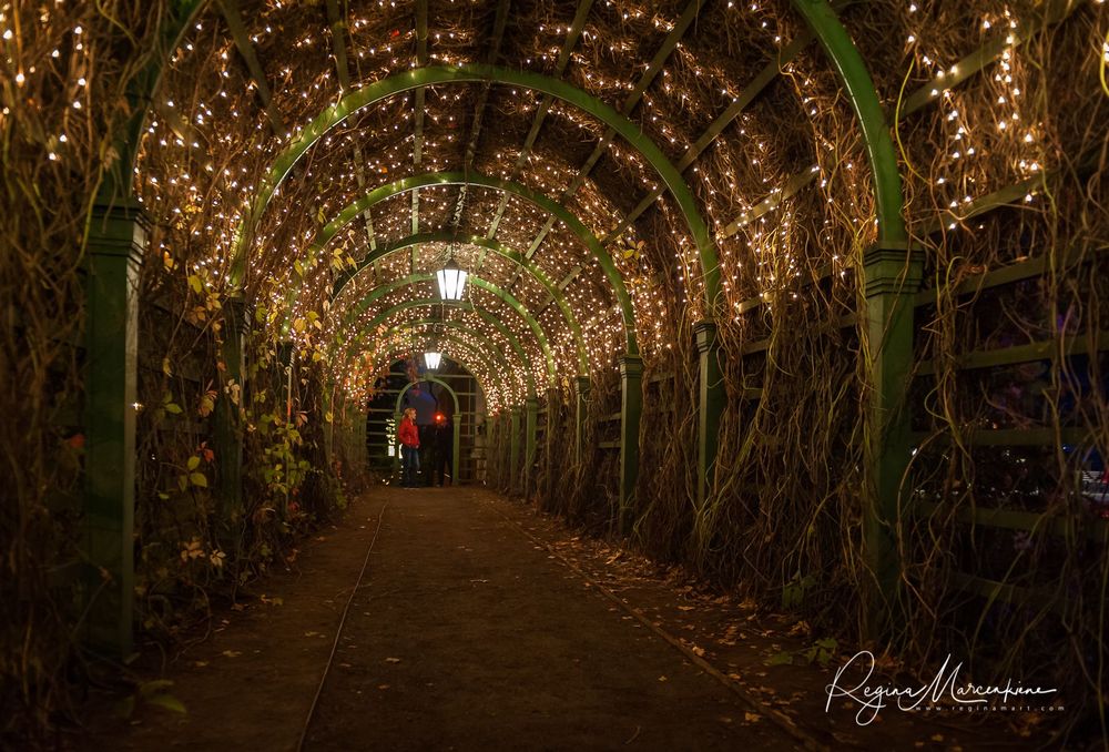 Wandering Lights / Фестиваль 