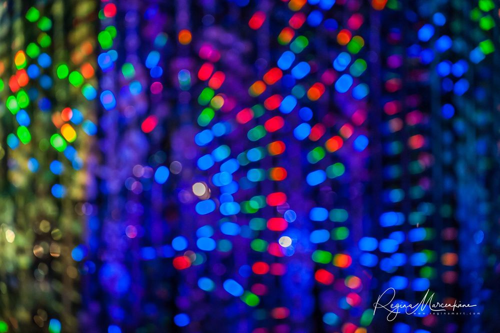 Wandering Lights / Фестиваль 